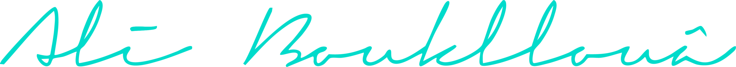 Unterschrift Ali Boukllouâ
